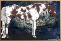 Horse Color:White Spotted Chocolate Silver Black Chinchilla 