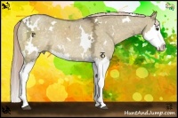 Horse Color:White Spotted Chocolate Palomino Ice Dun Sabino Splash Rabicano