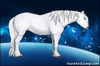 Horse Color:Gray Red Roan 