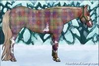 Horse Color:Nacre Plaid White Spotted Liver Chestnut