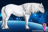 Horse Color:Gray Bay Dun