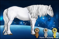 Horse Color:Gray Red Dun 