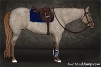 Horse Color:Liver Red Dun Roan Rabicano 
