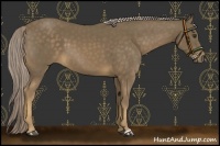 Horse Color:Chocolate Palomino