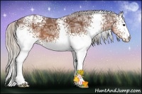 Horse Color:White Spotted Silver Brown Ice