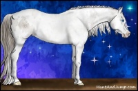 Horse Color:White Spotted Liver Chestnut Splash 