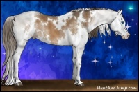 Horse Color:White Spotted Liver Chestnut Splash 