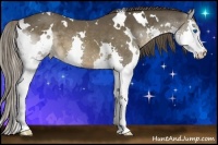 Horse Color:White Spotted Liver Chestnut Sabino Splash 