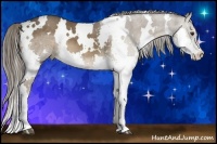 Horse Color:White Spotted Liver Chestnut Splash
