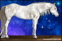 Horse Color:White Spotted Liver Chestnut Splash 