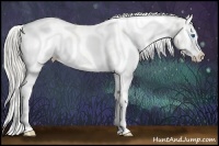 Horse Color:White Spotted Chocolate Palomino Pearl Splash 