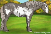 Horse Color:White Spotted Silver Black Frame 