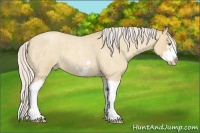 Horse Color:Silver Classic Champagne Roan Dun Splash Frame 