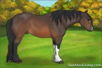 Horse Color:Brown 