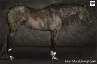 Horse Color:Liver Red Dun Ice 