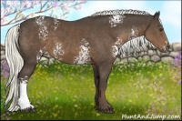 Horse Color:White Spotted Liver Chestnut Sabino