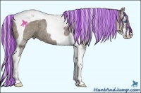 Horse Color:Painted Silver Grullo Splash Tobiano