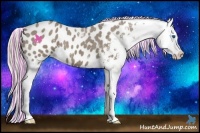 Horse Color:Painted Silver Grullo Roan Splash Appaloosa 