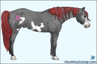 Horse Color:Painted Black Frame Appaloosa 