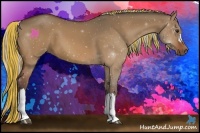 Horse Color:Painted Silver Bay Dun