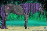 Horse Color:Painted Black 