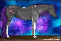 Horse Color:Painted Smoky Black Tobiano 