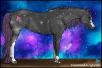 Horse Color:Painted Smoky Black 