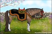 Horse Color:Buckskin Appaloosa