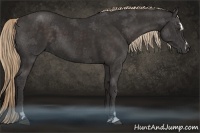 Horse Color:Liver Chestnut Sabino 