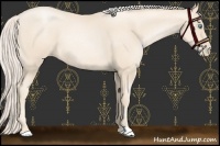 Horse Color:Gold Cream Champagne Pearl 