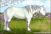 Horse Color:Watercolor White Spotted Silver Bay Chinchilla Onyx 