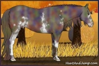 Horse Color:Nacre White Spotted Liver Chestnut Sabino 