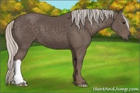 Horse Color:Silver Black