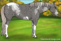 Horse Color:White Spotted Silver Black Ice Tobiano