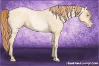 Horse Color:Buckskin Roan Pearl  and Buckskin Roan Pearl 