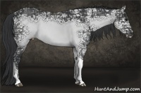 Horse Color:Black Ice Sabino Tobiano 