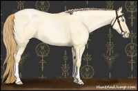 Horse Color:Buckskin Roan Pearl Dun  and Buckskin Roan Pearl Dun 