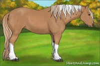Horse Color:Chestnut Tobiano 