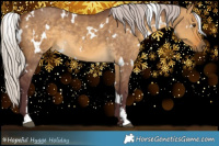 Horse Color:White Spotted Chocolate Silver Buckskin Dun Sabino