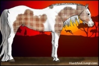 Horse Color:Plaid  Bay Splash Tobiano 