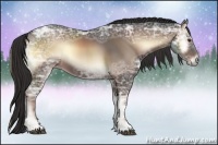 Horse Color:Liver Red Onyx Ice