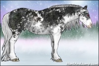 Horse Color:Silver Brown Chinchilla Ice Sabino