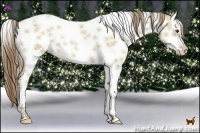 Horse Color:Grullo Pearl Splash Tobiano