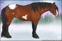 Horse Color:Brown Frame Appaloosa Rabicano 