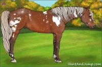 Horse Color:Silver Bay Splash Tobiano Frame  and Silver Bay Sabino 