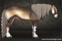 Horse Color:Liver Red Onyx Sabino