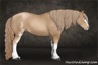 Horse Color:White Spotted Liver Chestnut Pearl Sabino 
