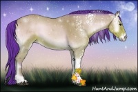 Horse Color:Watercolor White Spotted Bay Onyx