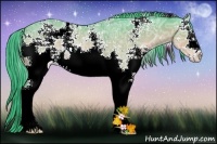 Horse Color:Watercolor White Spotted Buckskin Ice Sabino Rabicano