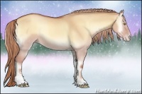 Horse Color:Gold Champagne Onyx Sabino